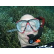 Michael Kalish's photo