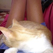 Lorella Barca's photo