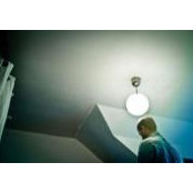 Adam Wilson's photo