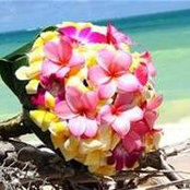 Foto von Bobbie Thomas