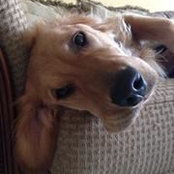 Amanda Holbird's photo