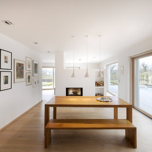 ミュンヘンのコンテンポラリースタイルのLDKの画像 (白い壁、淡色無垢フローリング、両方向型暖炉、漆喰の暖炉まわり)