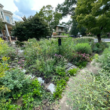Water Management Habitat Rain Garden