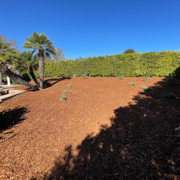 Synthetic turf , mulch ,plant and drip installation