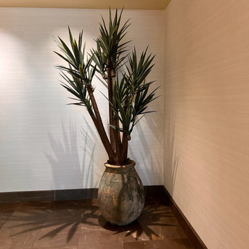 COMMERCIAL SPACES