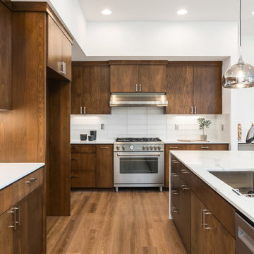 Kitchen Renovation Mountain View