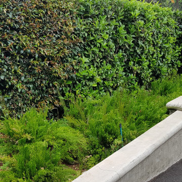 Gorgeous Gardens planters, raised flower beds