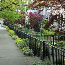 Black Fencing