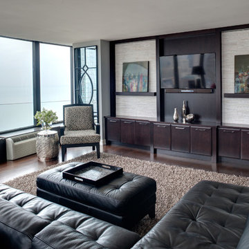Chicago Cityscape Condo Remodel