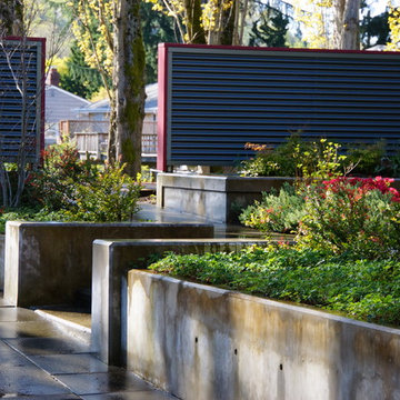 Contemporary Plaza
