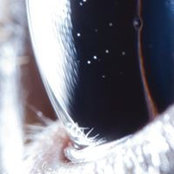 Simeon Velchev's photo