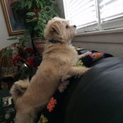 Gail Gianfranciso's photo