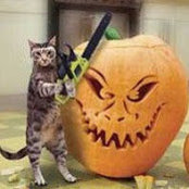 Jyllian Martini's photo