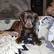 Kimberly Kestler's photo