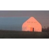 Ellen Williams's photo