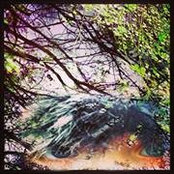 Risa Lavelle's photo