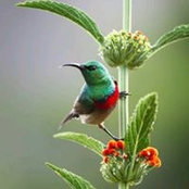 John Lai's photo