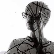 Ola Litkova's photo