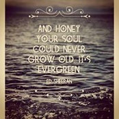 Missi Normandin's photo
