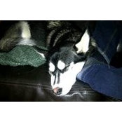 Andrea Trenholm's photo