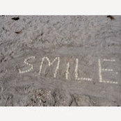 Terri Stimmler's photo