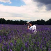 Foto von Sam Ng