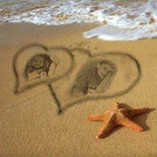 Shaymaa Khater's photo
