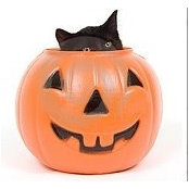 Lyn Walden's photo