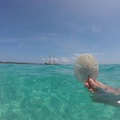 Todd Hammond's photo