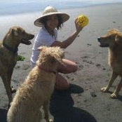 Olivia Chan's photo