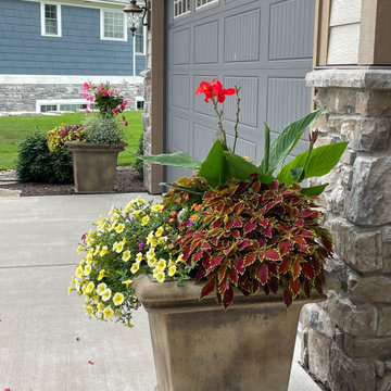 Spring & Summer Containers