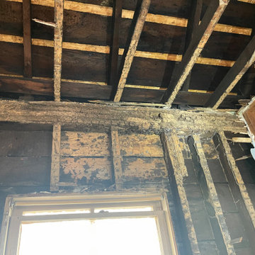 Bridgeport  Rear unit rehab and basement underpinning