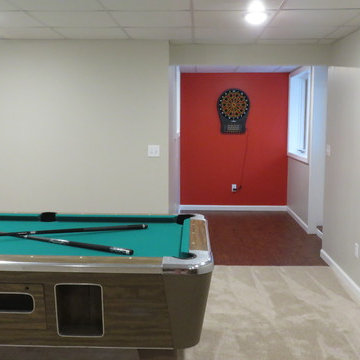 Basement Remodel
