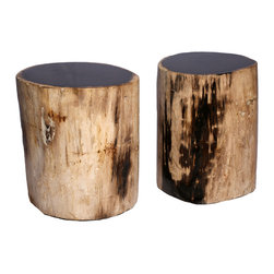 Petrified Wood Table - Side Tables And End Tables