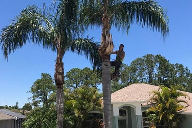 Tree Trimming Services in Jacksonville, FL