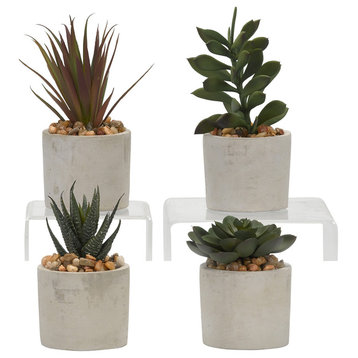 Assorted Succulents in Mini Cement Cylinders, 4-Piece Set
