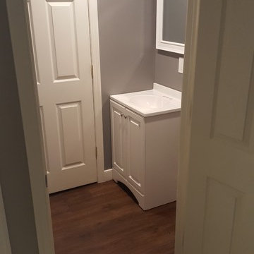 Basement Bath and Wet Bar