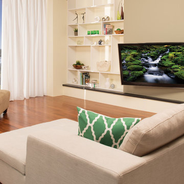 SANUS Lifestyle: Premium Mount Series