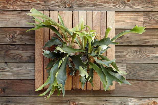by Daniel Nolan for Flora Grubb Gardens
