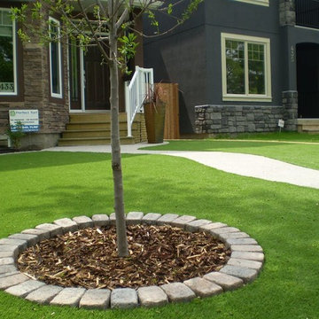 Front Yards