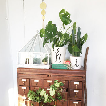 The Lemon Bowl Studio