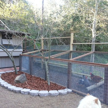 chicken coup