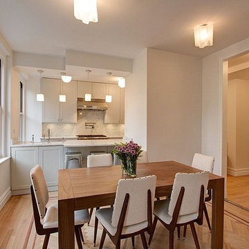 Upper East Side Kitchen Renovation New York