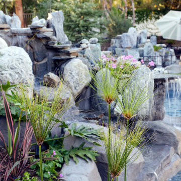 Waterfall Oasis