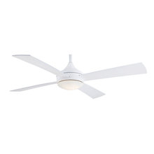 Ceiling Fans