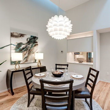 Turtle Pond Staging