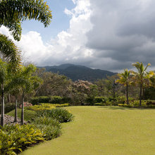 Back Yard ideas