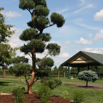 Lowes Creek Residence