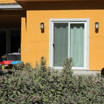 Vivide colors garden