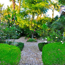 Side Yard